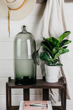 Load image into Gallery viewer, Hand Blown Glass Bell Jar