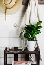 Load image into Gallery viewer, Handblown Glass Bell Jars