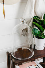 Load image into Gallery viewer, Handblown Glass Bell Jars