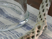 Load image into Gallery viewer, Handblown Glass Bell Jars